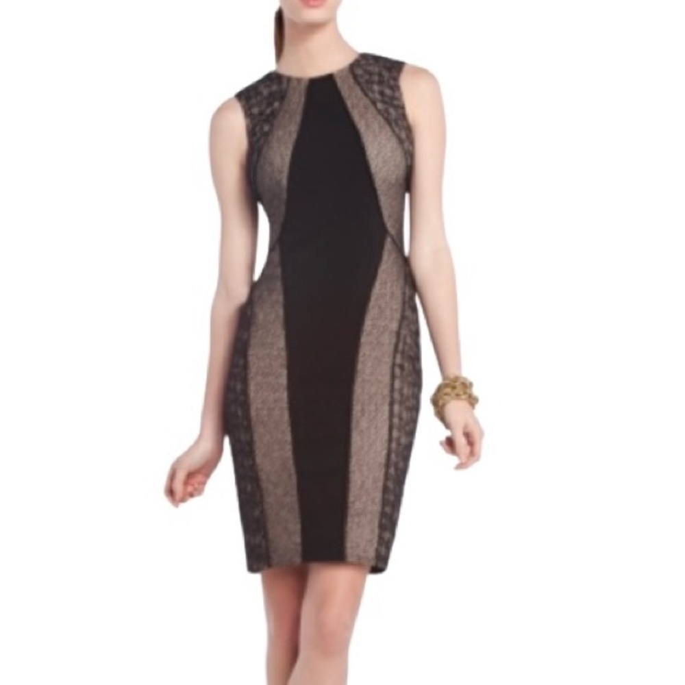 BCBGMaxAzria Black and Taupe Lace Paneled Sheath Dress